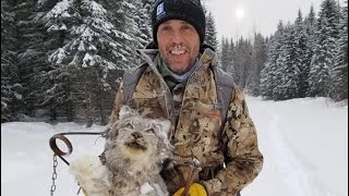 Trapping Wolves Lynx and Mink In Northern British Columbia [upl. by Llenra]