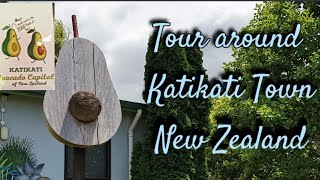 Katikati Town Drive  Walk Tour  Avocado Capital of New Zealand [upl. by Aissatsana]