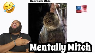 Mentally Mitch  2024 Presidential Debate Memes pt 3  REACTION [upl. by Thomas]