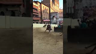 Palio Siena Italy Horse Race [upl. by Adnolor519]