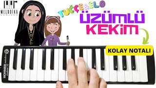 ÜZÜMLÜ KEKİM 🧁 Tuğçe amp Elo  Kolay Melodika Notaları [upl. by Anilatac]