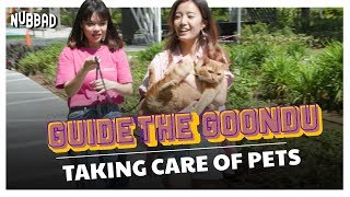 How To Take Care Of Pets  Guide The Goondu Ep 2  SGAG [upl. by Mckenzie225]