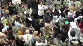 Domenica delle palme nella Piazzetta di Capri 4 [upl. by Aurie924]