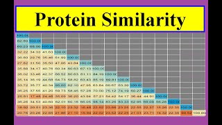 Protein similarities [upl. by Ahsenid410]