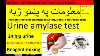 Urine amylase testurine amylase creatinine clearance ratio testcramclr test in pashto [upl. by Picker]