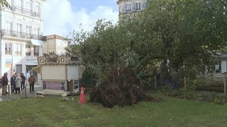 Tempête Domingos nombreux dégâts sur le SudOuest de la France  AFP [upl. by Liahcim486]