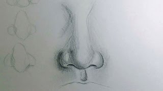 How to Draw a Nose [upl. by Janith]