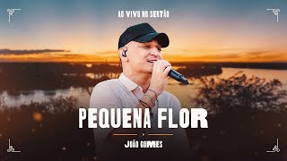 PEQUENA FLOR  João Gomes Ao Vivo no Sertão [upl. by Rekyr]