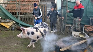 POSJEK NA SOKOCU [upl. by Danuloff]