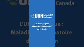 LUHN explique  Les maladies inflammatoires de lintestin La maladie de Crohn maladie crohn [upl. by Ehc]