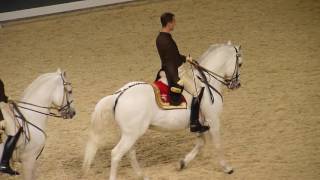 The Spanish Riding School of Vienna 09 [upl. by Ettolrahc]