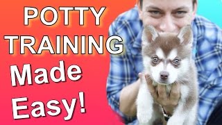 How to Potty Train your Puppy EASILY Everything you need to know [upl. by Onit710]