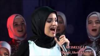 Mawlaya sali wasalim nasheed with lyrics and subtitles [upl. by Leamse88]