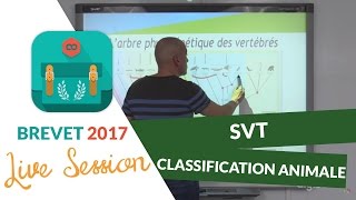 Brevet 2017  Révisions Live de SVT  Classification animale  digiSchool [upl. by Penthea]