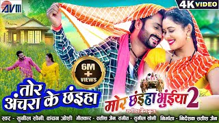 Mor Chhaiya Bhuiya 2  Cg Movie Song  Tor Achara Ke Chhaiya  Chhattisgarhi Gana  Man Diksha  AVM [upl. by Rocky]