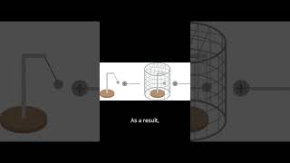 How does faraday cage works [upl. by Faubert]