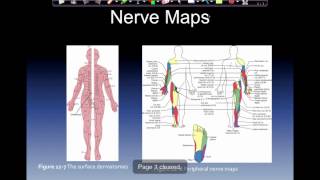 Chapter 12 Disorders of the peripheral nervous system [upl. by Querida79]