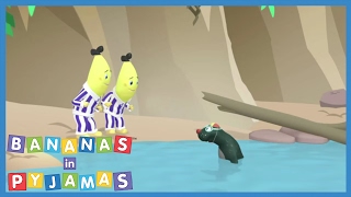 Wheres the camera  Bananas in Pyjamas Official [upl. by Arada]