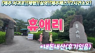 휴애리제주 서귀포체험실외제주패스2시간소요 [upl. by Anizor415]