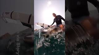 WATCH Humpback whale collides with windsurfer in Australia [upl. by Woodall246]