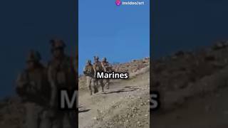 Marines vs Army Rangers military shorts explore makethisgoviral fyp [upl. by Aitselec]