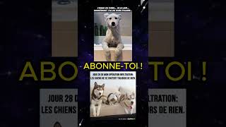 TAS RI ABONNE TOI 😂 all memes random pourtoi funny humour abonnetoi viral video shorts [upl. by Narda]