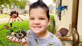 MORNING BUG HUNT BEFORE SCHOOL ROUTINE Caleb and Mommy Find Spiders Worms BUGS in BACKYARD [upl. by Matthia]