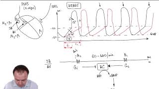 Chronotropic Effect Part 33 [upl. by Matilde948]