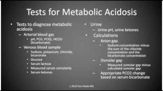 Metabolic Acidosis [upl. by Yorel]