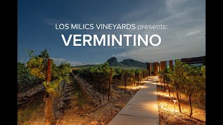 LMV Grapes Vermentino [upl. by Aloz]