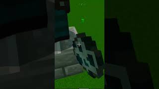 Minecraft annual vs vindicator shorts minecraft [upl. by Barabas]