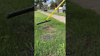 Fixing Some Lawn Renovation Issues shorts lawn [upl. by Sheffie529]