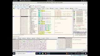 x64dbg debugging [upl. by Odinevneib]