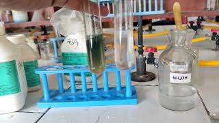 Analysis of Group 3 cation  Aluminum  Salt Analysis  Class 12 amp 11 Chemistry Practical NCERT [upl. by Assirod947]