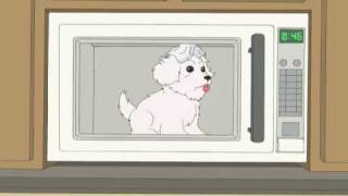 Dont feed a dog chocolate in a microwave wearing a foil hat [upl. by Chelton98]