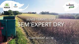 Récolte du Maïs Sem’Expert DRY Pioneer semé à 60 cm avec la barre de coupe [upl. by Llenwahs]