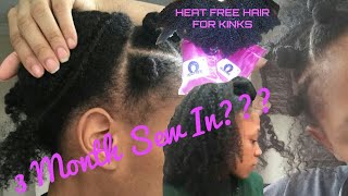 12 3 Month Sew In Takedown  Take Out 3 Month Old Braids  Trim after Sew In [upl. by Adnaw]