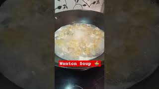 WONTON SOUP for DINNER [upl. by Imalda]