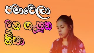 PAMAWELA MUNA GAHUNA NISA පමාවෙලා මුන ගැහුන නිසා  damith asanka coversong songscollection [upl. by Mal]