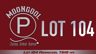 Lot 104 Moongool T618 P [upl. by Robertson945]