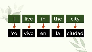 Create sentences in Spanish [upl. by Assisi]