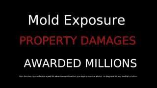 Mold Lawyer Mold Lawyers 844 Mold Law Mold Exposure Victims get compensated [upl. by Avot760]