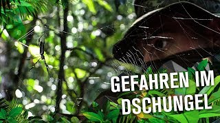 Gefahren im Dschungel  KSK  Folge 3 [upl. by Dirraj]