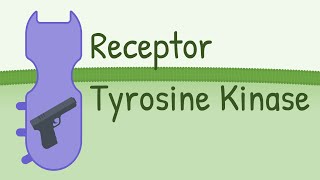 Receptor Tyrosine Kinase  MAPK Pathway [upl. by Aloke]