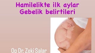 Hamilelikte ilk aylar hamilelik belirtileri [upl. by Kauffmann]