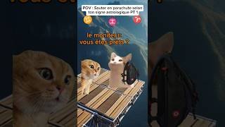 POV Sauter en parachute selon ton signe astrologique PT 1 humour drole catmemes meme pov [upl. by Dilahk]