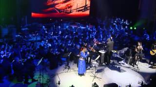 The Dark Knight  Hans Zimmer J Newton Howard  LIVE [upl. by Adamec689]