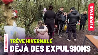 Trêve hivernale  Et ils sont expulsés [upl. by Legim225]