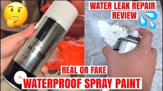 REAL or FAKE  TEKORO Waterproof Leak Repair Spray Paint  Roof Sealant  Review [upl. by Eiramrefinnej]