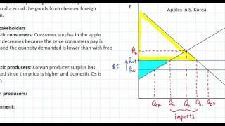 Protectionist Tariffs [upl. by Eremehc]